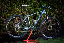 Kellys Desire 70 - L