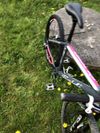Kolo prodoli, karbon vidlice, shimano brzdy, sada SLX 1/11, váha 10 kg