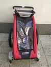 Chariot Cougar