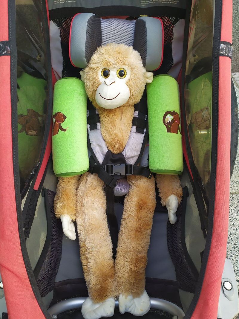 Chariot Cougar