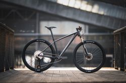 Horské kolo DUST na sadě Shimano Deore 1x12
