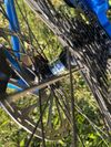 Tandem Müller's 29" L/M
