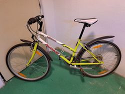 Author Ultima 24"