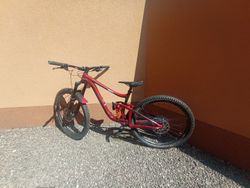 Giant Reign SX 2020