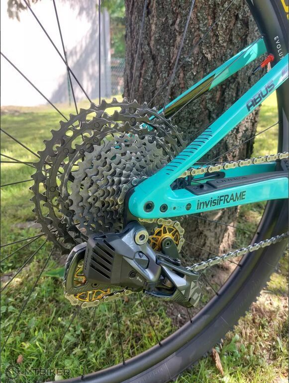 Orbea oiz