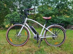 Electra Townie Commute GO! 8i EQ Stone Grey Men's