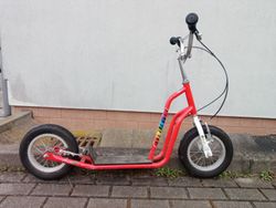 Yedoo Čtyřlístek Maxi koloběžka Pinďa