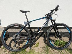 Kross Tokyo Level Custom