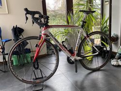 Pinarello KOBH 60.1 (L)
