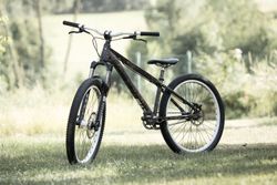 CTM Dirtking v custom barvě