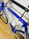 Colnago Dream Soft Paint