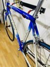 Colnago Dream Soft Paint