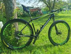 Cannondale FSI Team 