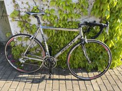 Silniční kolo Ridley Pegasus
