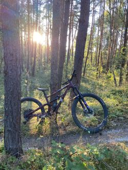 Specialized Status 160 vel.M