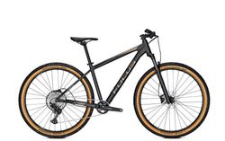 FOCUS WHISTLER 3.9 MODEL 2022