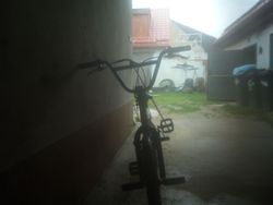 FREESTYLE,BMX CAPRIOLA