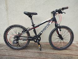 Dětské kolo Focus Raven Rookie