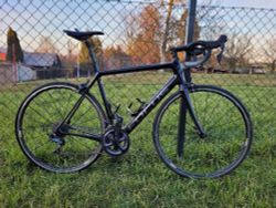 Focus Izalco Race 9.8