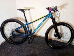 Merida Big Trail 500
