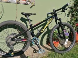 Orbea MX 24