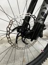 Giant trance x 29 1, 2021 “M”