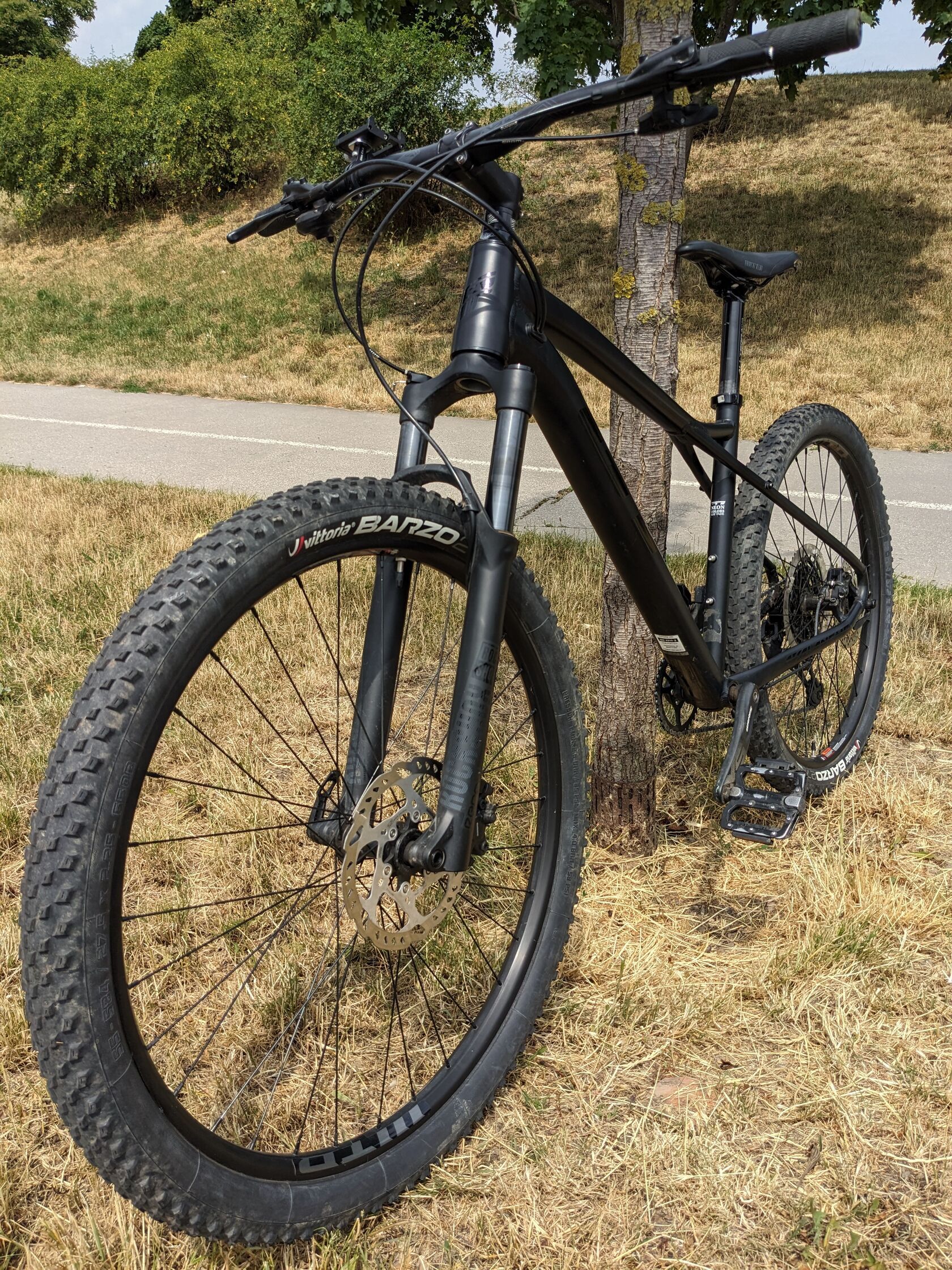 Gt avalanche online expert black