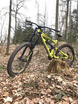 Bergamont Straitline 8.0, 27,5’