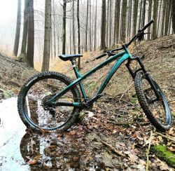Dartmoor Hornet Pro 2018, 27,5+ 2,8", vel L
