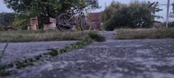 Dirt kolo mongoose