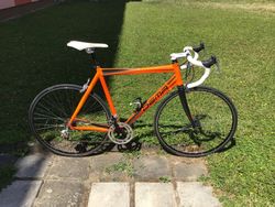 Silniční kolo Dema osazeno komplet Campagnolo Veloce s karbonovou vidlicí