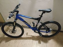 Schwinn 405 120 mm full
