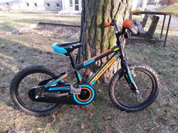 Leader Fox Santo 16"