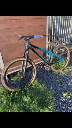 Ctm dirtking expert 2021