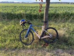 Bianchi arcadex grx 600