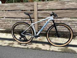 Specialized epic HT 2020 M