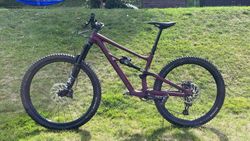 SPECIALIZED STATUS