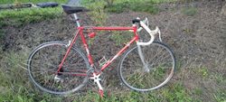 Corratec Primavera 