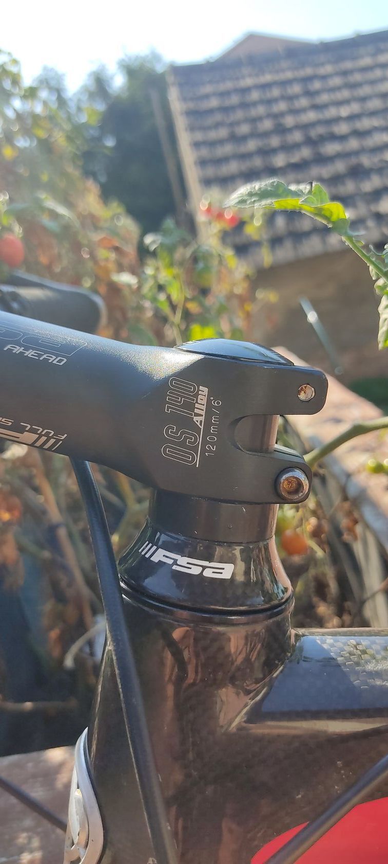 Carbon merida