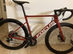 Focus Izalco Max 8.8