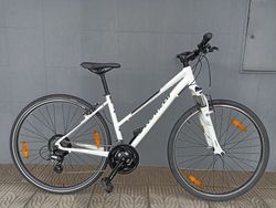Specialized Ariel