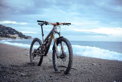 Enduro dream bike Pivot Firebird 29 vel.L v pískově hnědé, custom bild