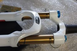 Fox 29" Kashima 