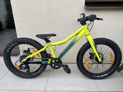 Scott kenda roxter 20