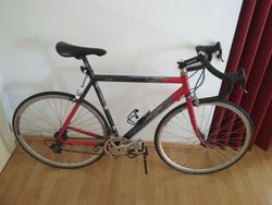 Silniční kolo Spyder (Campagnolo)