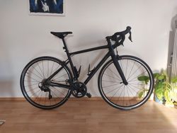 Specialized Allez Elite Gloss v super stavu