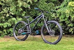 Dartmoor Primal 2017