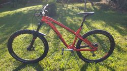 Dartmoor Hornet vel.L