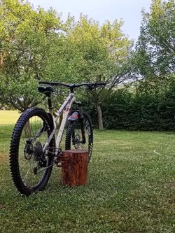 Dartmoor primal 29
