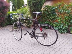 Kolo favorit
